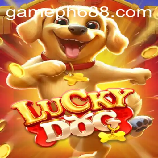 Exploring the Thrilling World of LuckyDog: A Comprehensive Guide